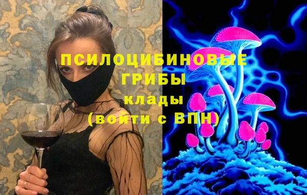 тгк Бронницы