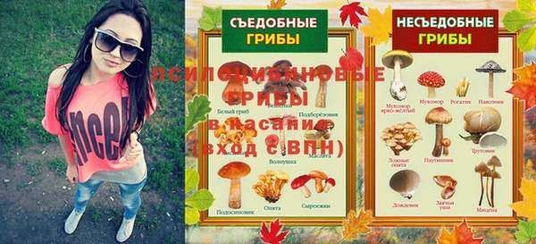 тгк Бронницы