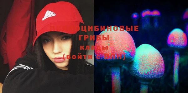 тгк Бронницы