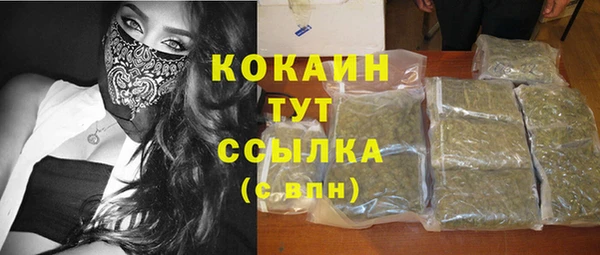 сатива Бугульма